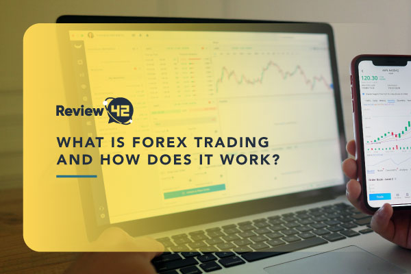 What Is Forex Trading and How Does It Work?