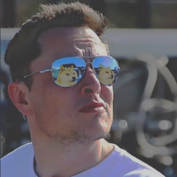 Elon Musk Changes His Twitter Profile Picture Making Dogecoin Value Soar
