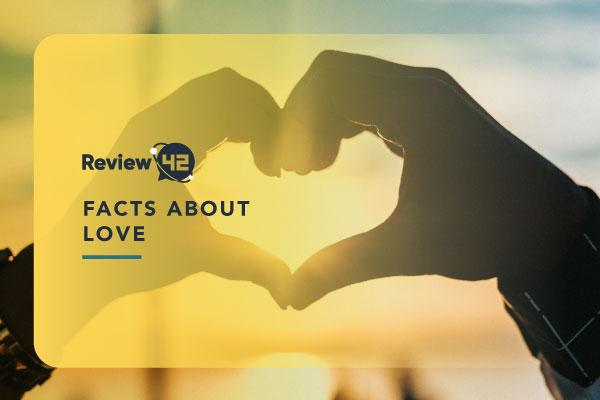 25+ Facts and Statistics About Love to Brighten Up Your Day