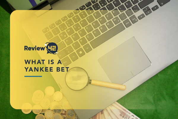 Yankee Bets Explained [Definition, How They Work, and More]