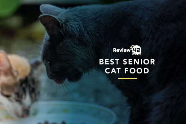 Senior Cat Food