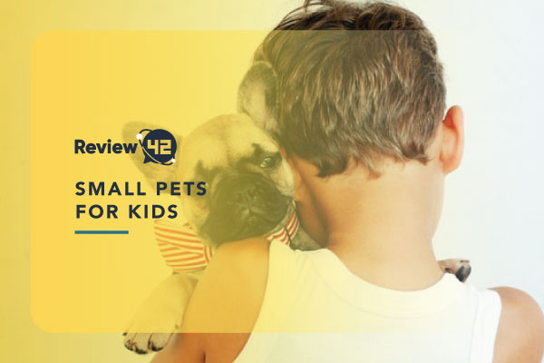 Top 8 Small Pets for Kids That They Will Love