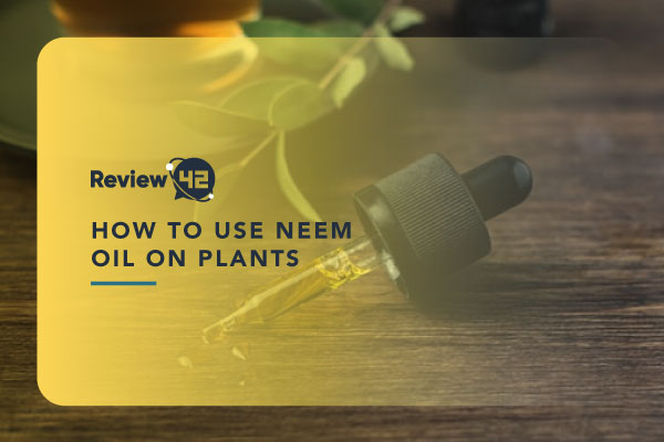 How to Use Neem Oil on Plants – Simple Instructions and Facts
