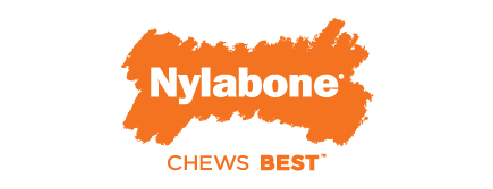 Nylabone® DuraChew® Flavor Frenzy Beef Jerky Chew Dog Toy