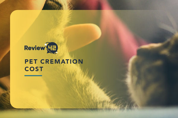 How Much Does Pet Cremation Cost in 2022?
