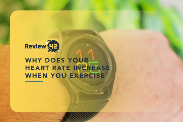 Why Does Your Heart Rate Increase  When You Exercise?