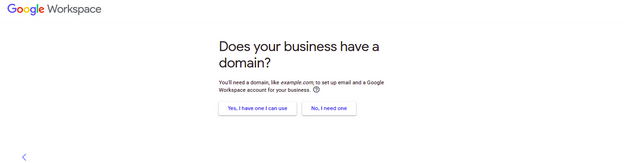 Choose whether your business has or doesn't have a domain