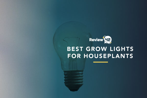 Grow Lights for Houseplants