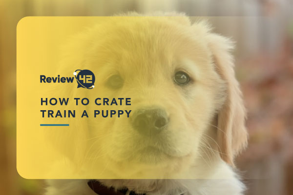 A Guide to Crate Training a Puppy [9 Simple Ways]