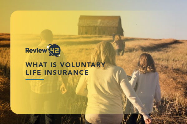 What Is Voluntary Life Insurance and How Does It Work?