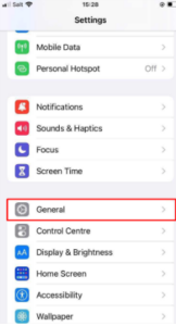 iPhone settings>General