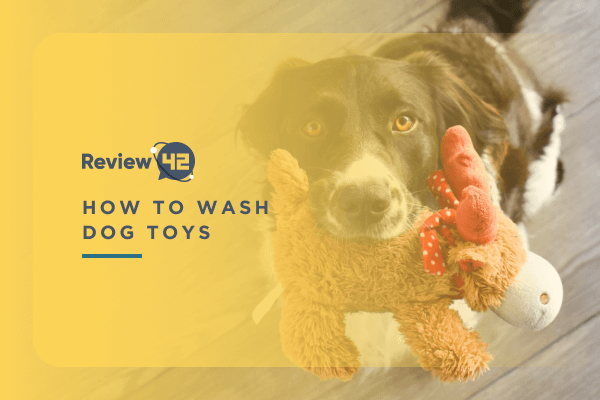 How to Wash Dog Toys? [Steps to Washing Different Toy Types]