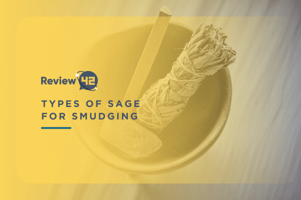 8 Different Types of Sage for Smudging